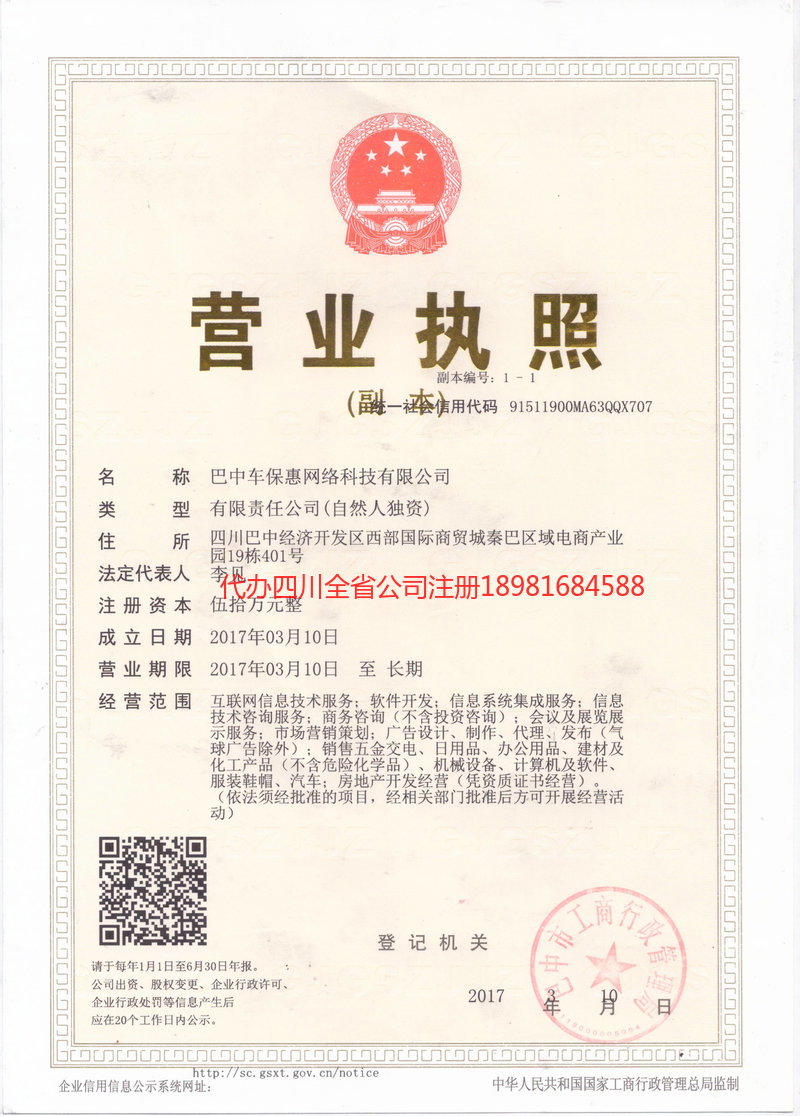 雷州雷州车保惠网络科技有限公司